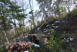 信濃 小山城の写真