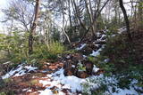 信濃 小山城の写真