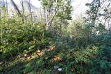 信濃 小山城の写真