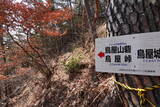 信濃 鳥屋山砦の写真