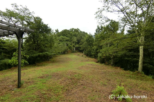 信濃 竹山城の写真