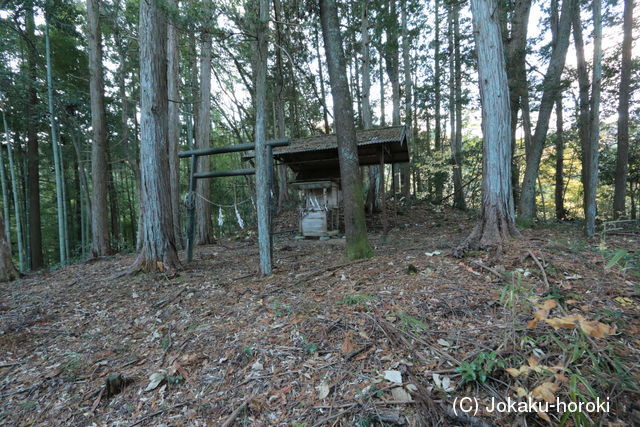 信濃 米山城(立石)の写真