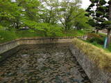 信濃 龍岡城の写真