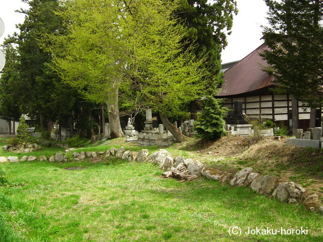 信濃 天正寺館の写真