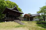 信濃 寺尾城の写真