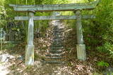 信濃 寺尾城の写真