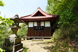 信濃 寺尾城の写真