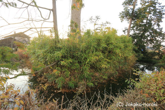 信濃 鳥羽館(安曇野市)の写真