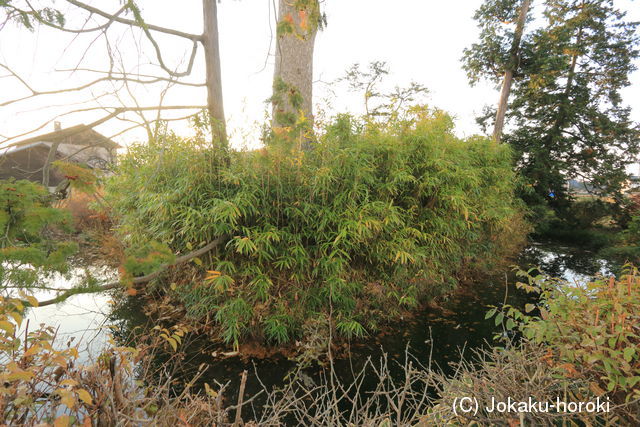 信濃 鳥羽館(安曇野市)の写真