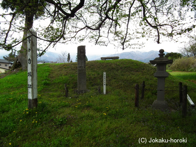 信濃 等々力城の写真