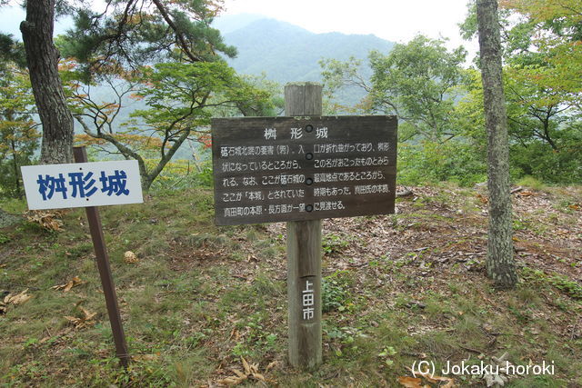 信濃 枡形城(上田市)の写真