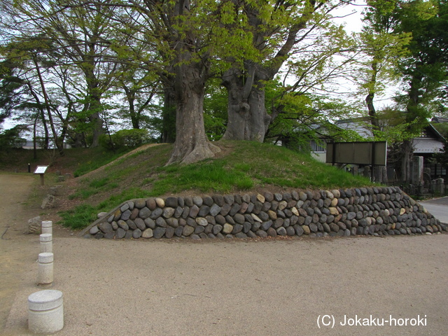 信濃 伴野館の写真