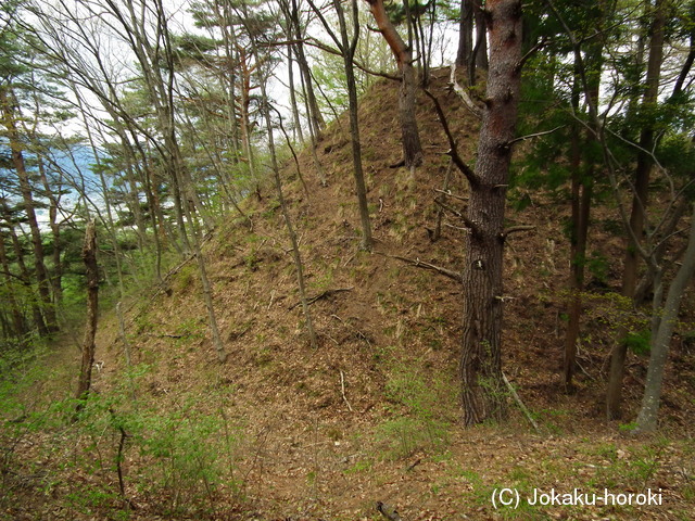 信濃 塔ノ原城の写真