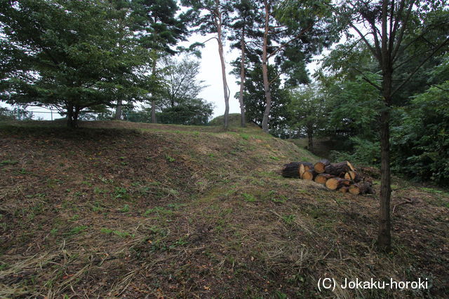 信濃 外山城の写真