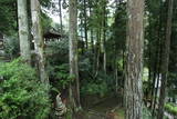 信濃 和田城の写真