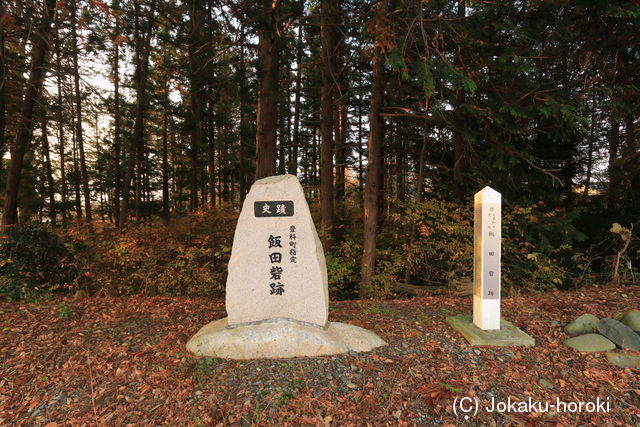 信濃 飯田砦の写真