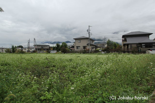 信濃 上穂城の写真