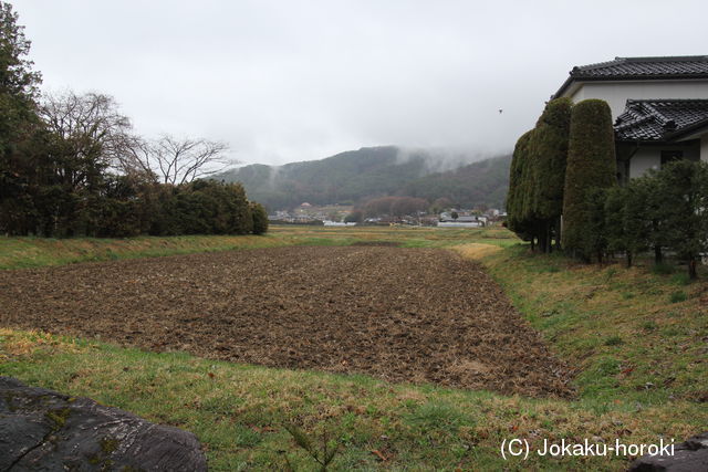 信濃 埋橋の城の写真