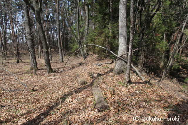 信濃 若槻山城堂沢出城の写真