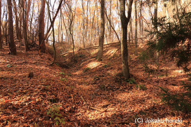 信濃 若槻山城の写真