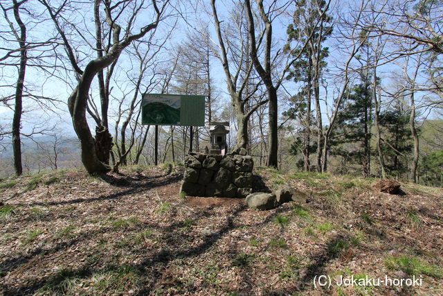 信濃 割ヶ岳城の写真