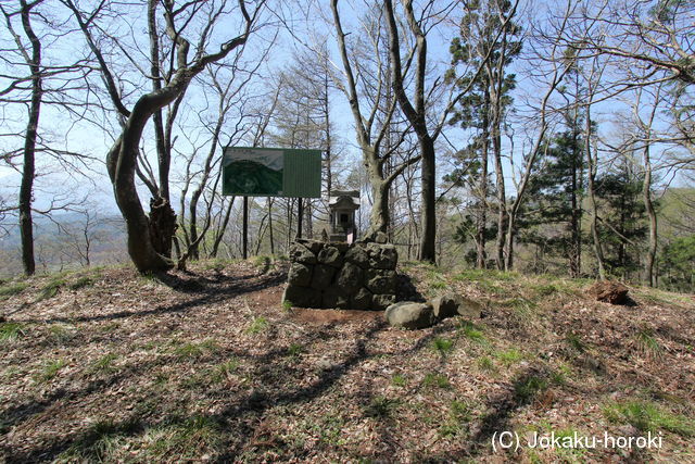 信濃 割ヶ岳城の写真