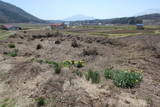 信濃 割ヶ岳城の写真