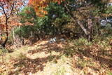 信濃 鷲尾城の写真