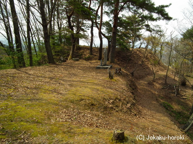 信濃 山田城の写真