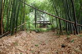 信濃 吉田城山城の写真