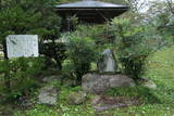 信濃 吉岡城の写真