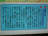 信濃 座光寺南城の写真
