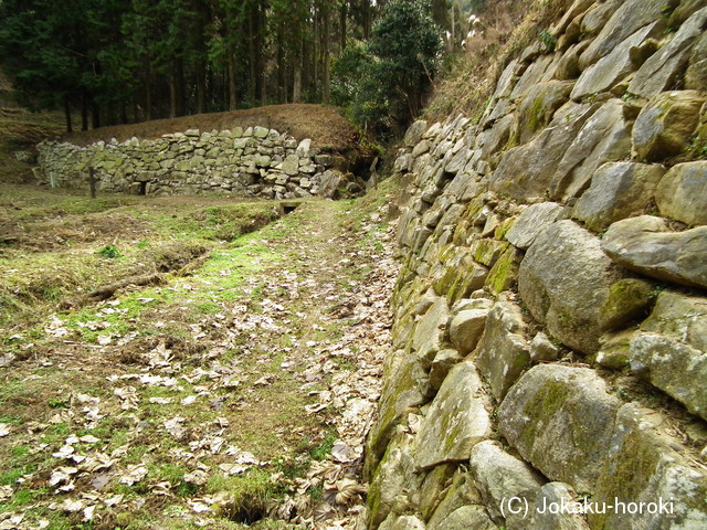 周防 石城山神籠石の写真