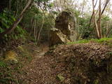 周防 石城山神籠石の写真