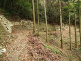 周防 石城山神籠石の写真