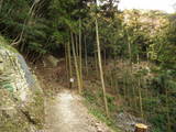 周防 石城山神籠石の写真