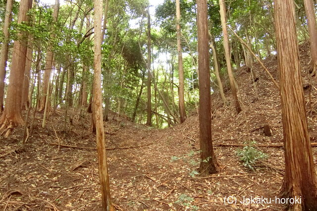 周防 茶臼台(岩国城出城)の写真