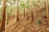 周防 茶臼台(岩国城出城)の写真