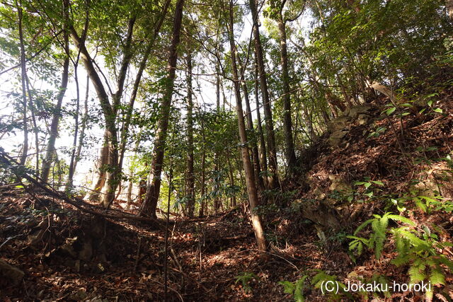 周防 (仮)常栄寺北山城の写真