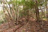 周防 (仮)常栄寺北山城の写真