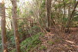 周防 (仮)常栄寺北山城の写真