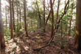 周防 (仮)常栄寺北山城の写真