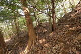 周防 (仮)常栄寺北山城の写真