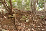 周防 (仮)常栄寺北山城の写真