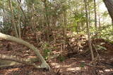 周防 (仮)常栄寺北山城の写真