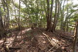 周防 (仮)常栄寺北山城の写真