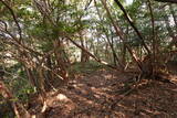 周防 (仮)常栄寺北山城の写真