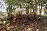 周防 (仮)常栄寺北山城の写真
