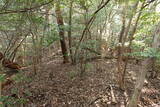 周防 (仮)常栄寺北山城の写真