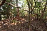 周防 (仮)常栄寺北山城の写真